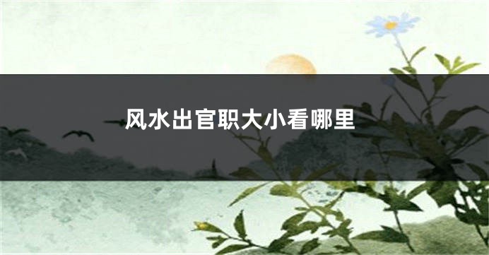 风水出官职大小看哪里