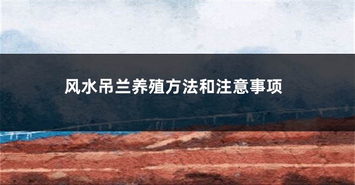 风水吊兰养殖方法和注意事项