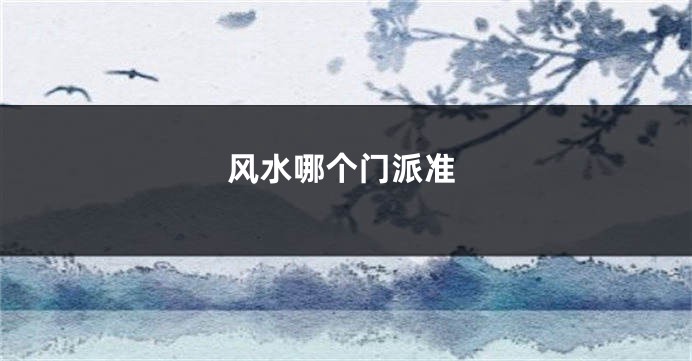 风水哪个门派准
