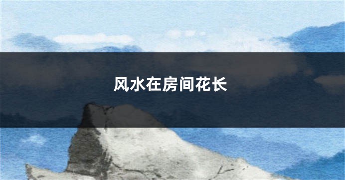 风水在房间花长