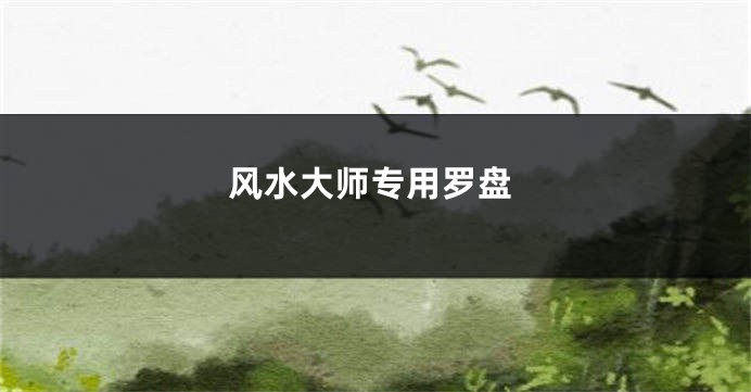 风水大师专用罗盘