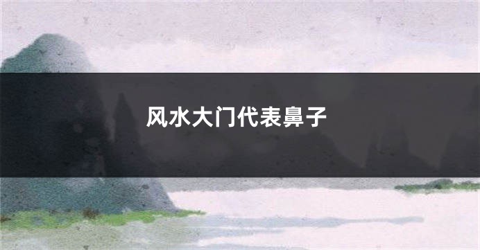 风水大门代表鼻子