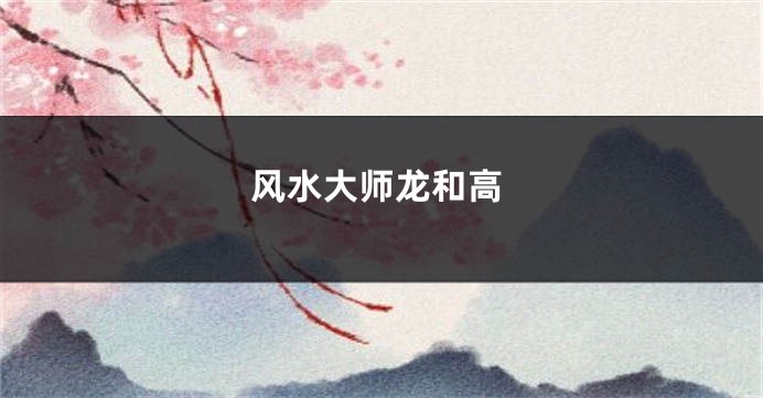 风水大师龙和高
