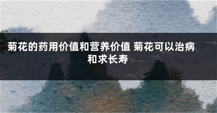 菊花的药用价值和营养价值 菊花可以治病和求长寿