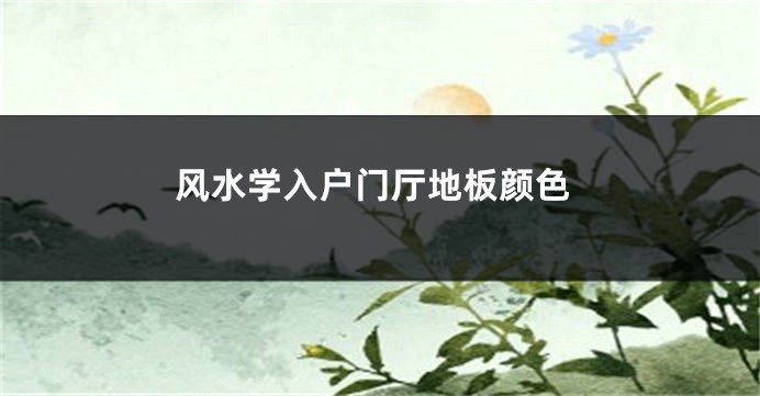 风水学入户门厅地板颜色
