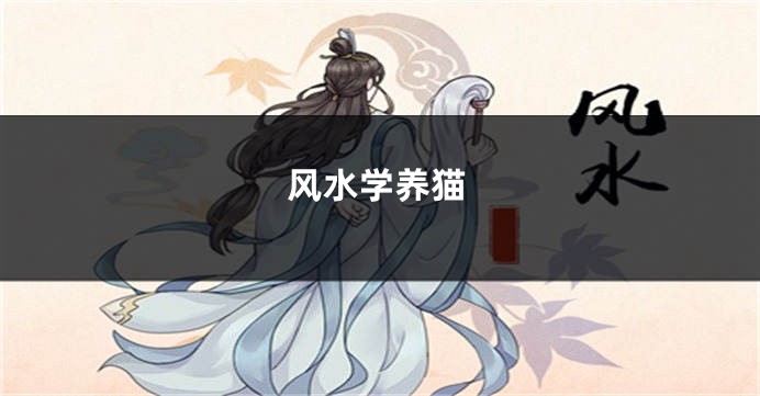 风水学养猫