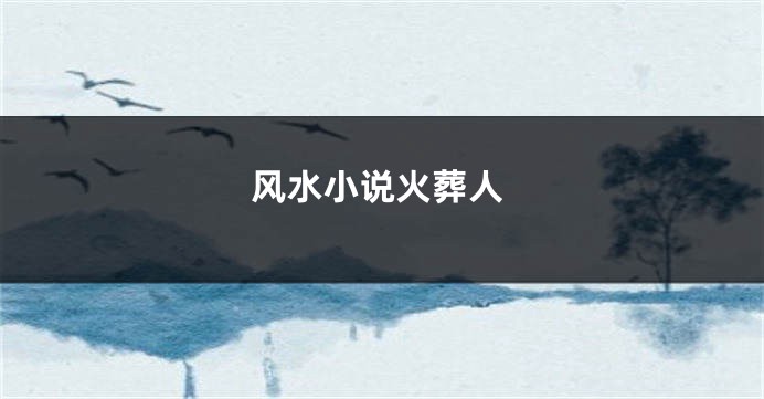 风水小说火葬人