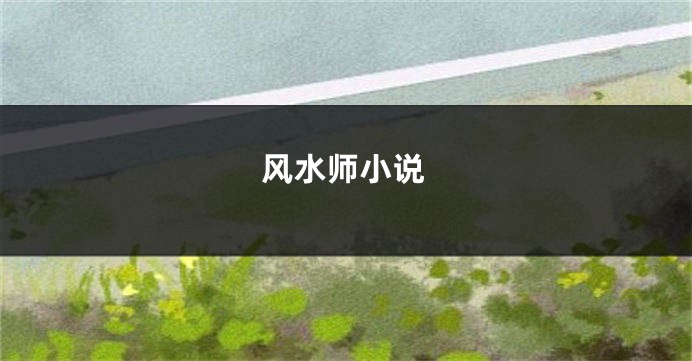 风水师小说