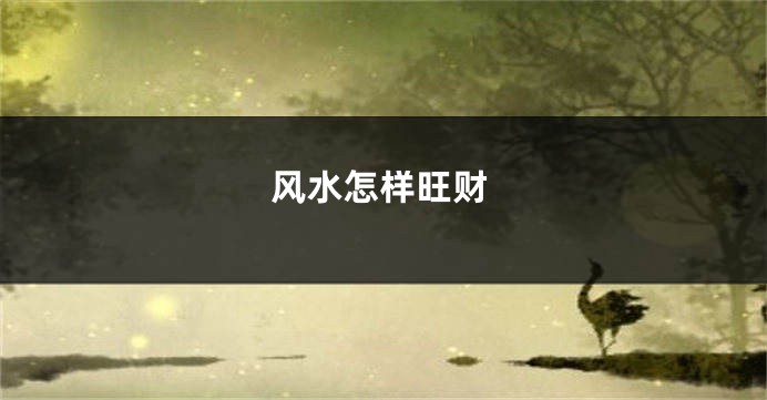 风水怎样旺财