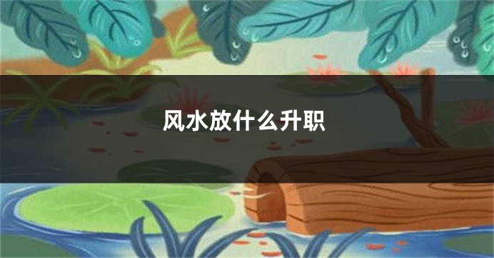 风水放什么升职