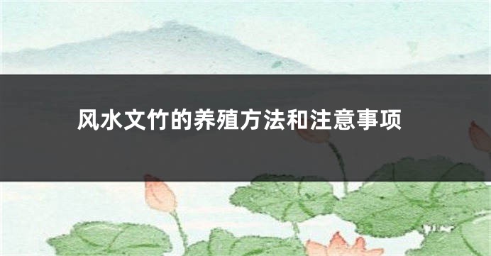 风水文竹的养殖方法和注意事项