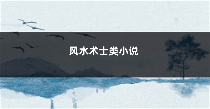 风水术士类小说