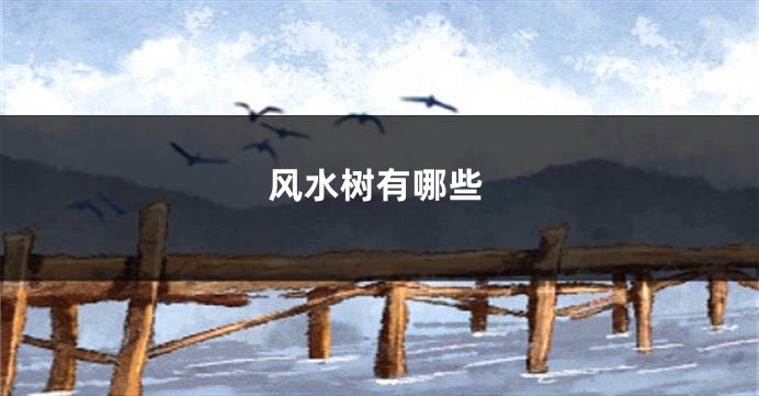 风水树有哪些