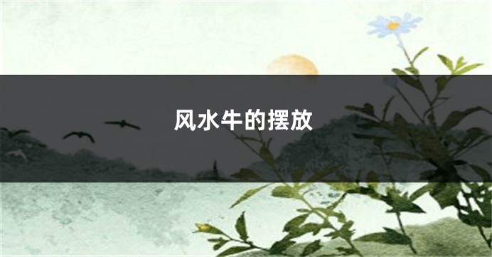 风水牛的摆放