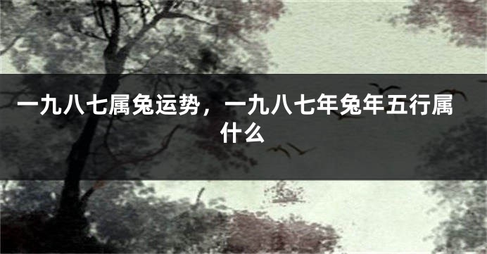 一九八七属兔运势，一九八七年兔年五行属什么