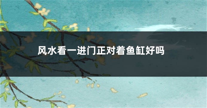 风水看一进门正对着鱼缸好吗
