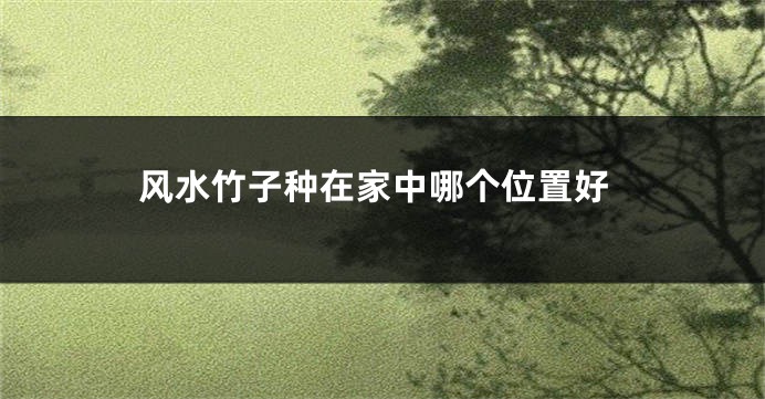 风水竹子种在家中哪个位置好