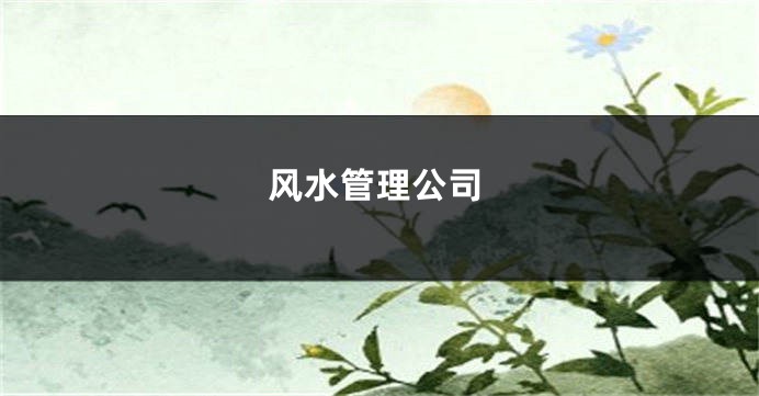 风水管理公司