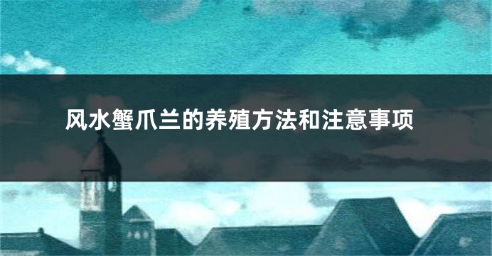 风水蟹爪兰的养殖方法和注意事项