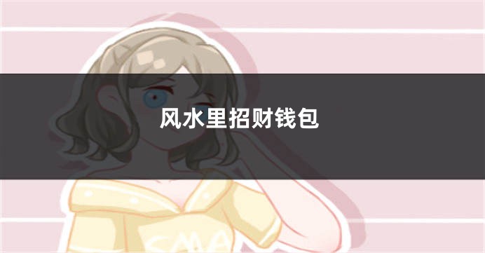 风水里招财钱包