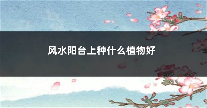 风水阳台上种什么植物好