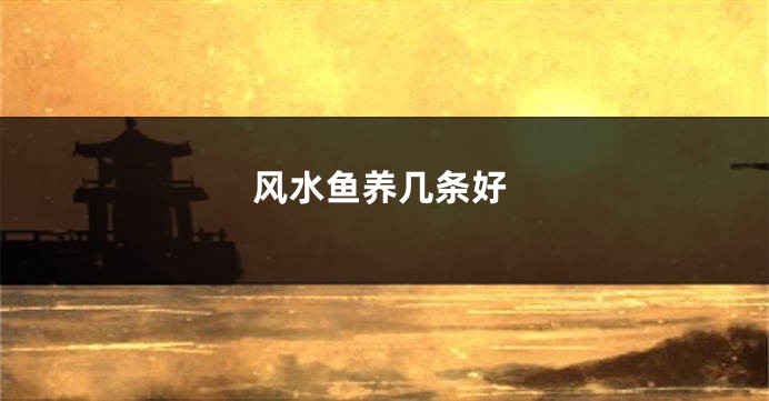 风水鱼养几条好