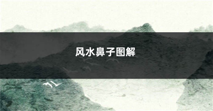 风水鼻子图解