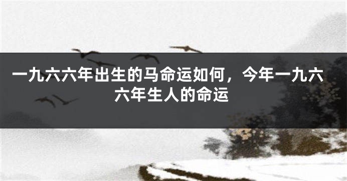 一九六六年出生的马命运如何，今年一九六六年生人的命运