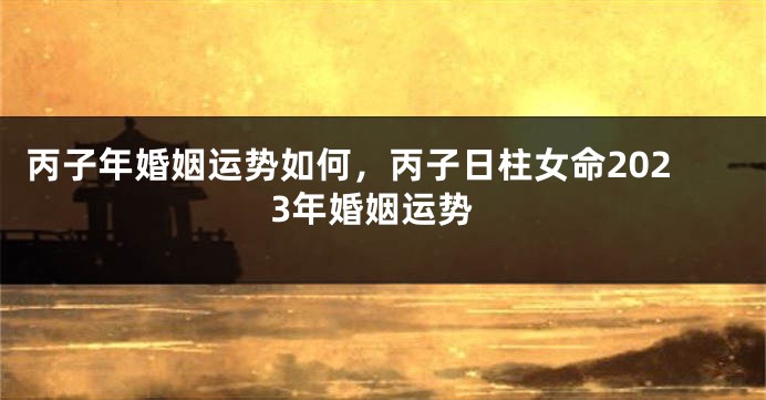 丙子年婚姻运势如何，丙子日柱女命2023年婚姻运势
