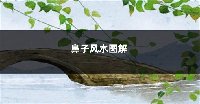 鼻子风水图解