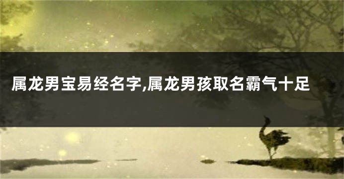 属龙男宝易经名字,属龙男孩取名霸气十足