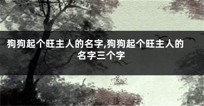狗狗起个旺主人的名字,狗狗起个旺主人的名字三个字