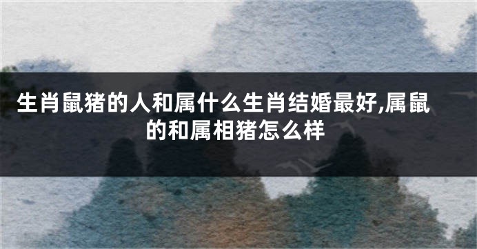 生肖鼠猪的人和属什么生肖结婚最好,属鼠的和属相猪怎么样