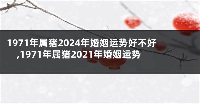 1971年属猪2024年婚姻运势好不好,1971年属猪2021年婚姻运势