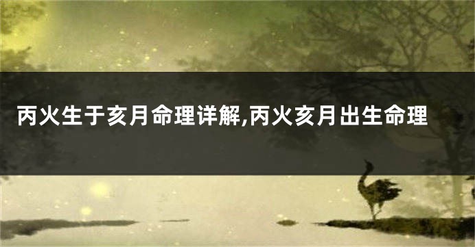 丙火生于亥月命理详解,丙火亥月出生命理