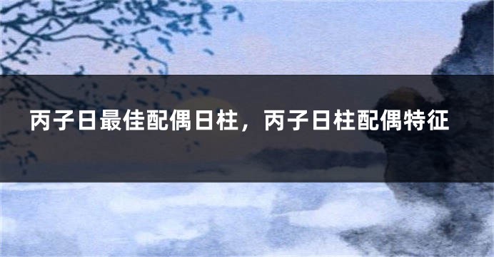 丙子日最佳配偶日柱，丙子日柱配偶特征