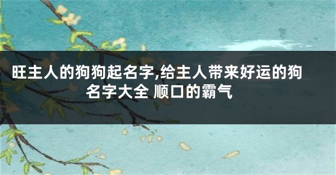 旺主人的狗狗起名字,给主人带来好运的狗名字大全 顺口的霸气
