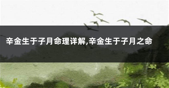 辛金生于子月命理详解,辛金生于子月之命