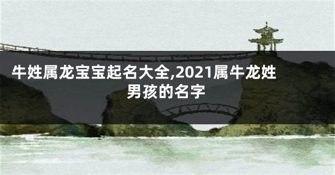 牛姓属龙宝宝起名大全,2021属牛龙姓男孩的名字