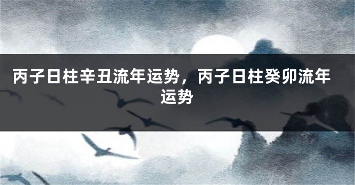 丙子日柱辛丑流年运势，丙子日柱癸卯流年运势
