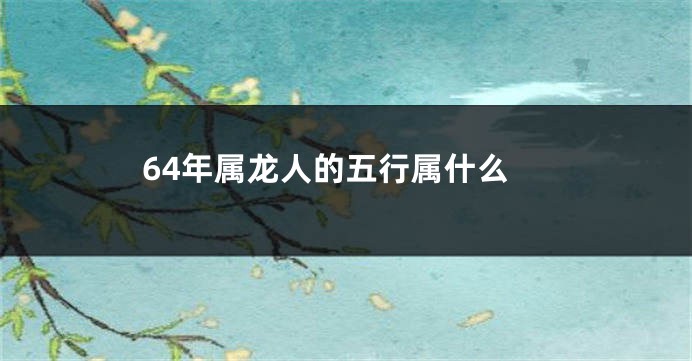 64年属龙人的五行属什么