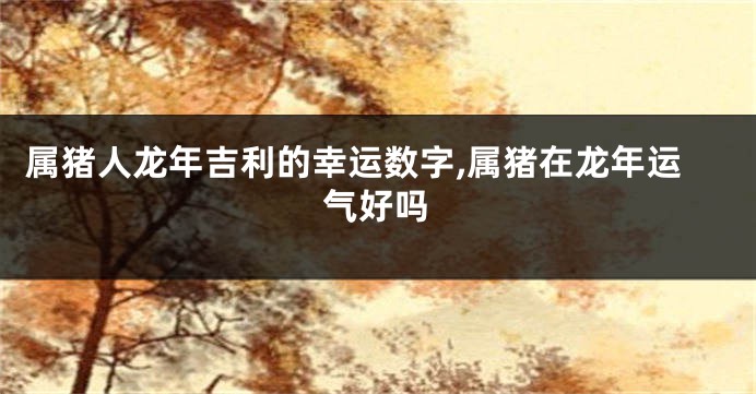 属猪人龙年吉利的幸运数字,属猪在龙年运气好吗