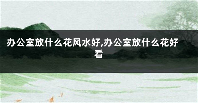 办公室放什么花风水好,办公室放什么花好看