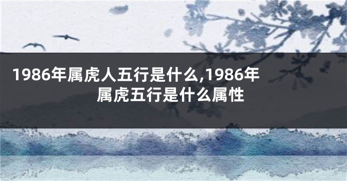 1986年属虎人五行是什么,1986年属虎五行是什么属性