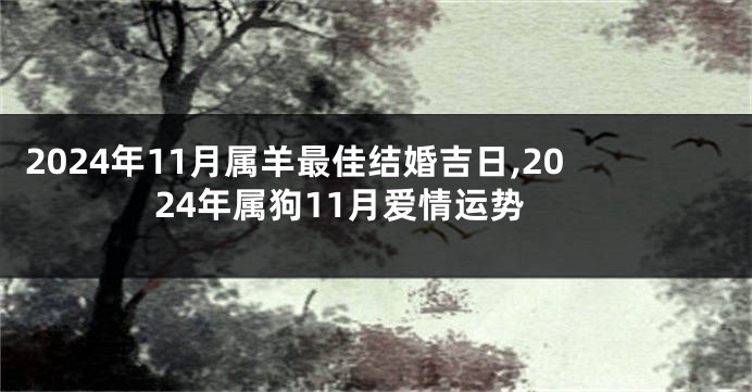 2024年11月属羊最佳结婚吉日,2024年属狗11月爱情运势