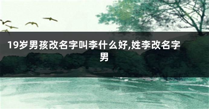 19岁男孩改名字叫李什么好,姓李改名字男