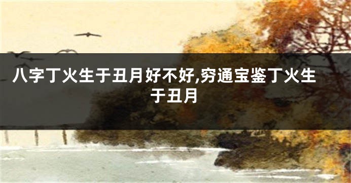 八字丁火生于丑月好不好,穷通宝鉴丁火生于丑月