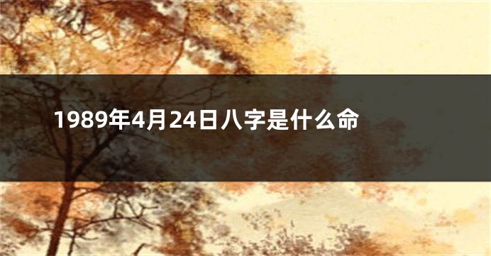 1989年4月24日八字是什么命