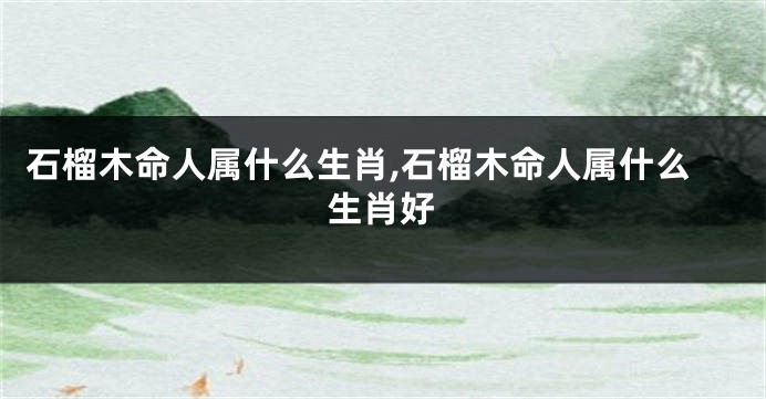 石榴木命人属什么生肖,石榴木命人属什么生肖好