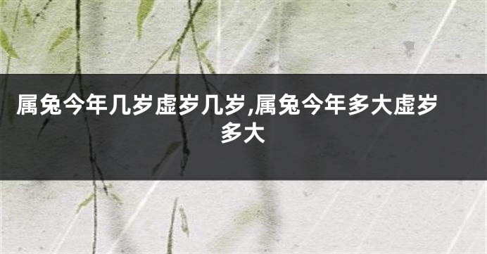 属兔今年几岁虚岁几岁,属兔今年多大虚岁多大